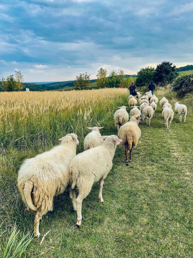 Farma Ovčí Terasy Vila Němčičky Exterior foto