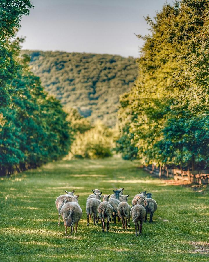 Farma Ovčí Terasy Vila Němčičky Exterior foto